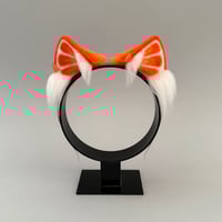 Image 1 of Oranges Kitten