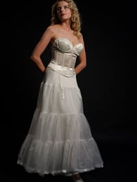 Image 1 of Medium Crinoline 
