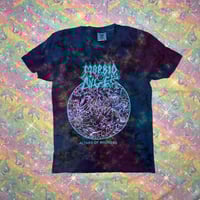 ALTARS OF MADNESS SMOL