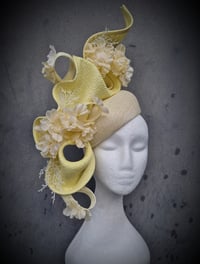 Image 3 of 'Anastarcia' in Lemon