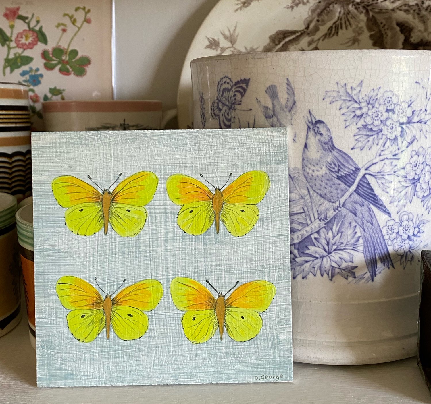 Image of Four Greek Butterflies 
