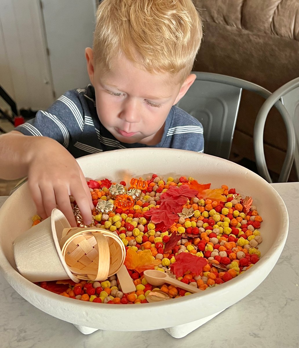 Fall Sensory Bin Filler (Chickpeas) – HelloDough