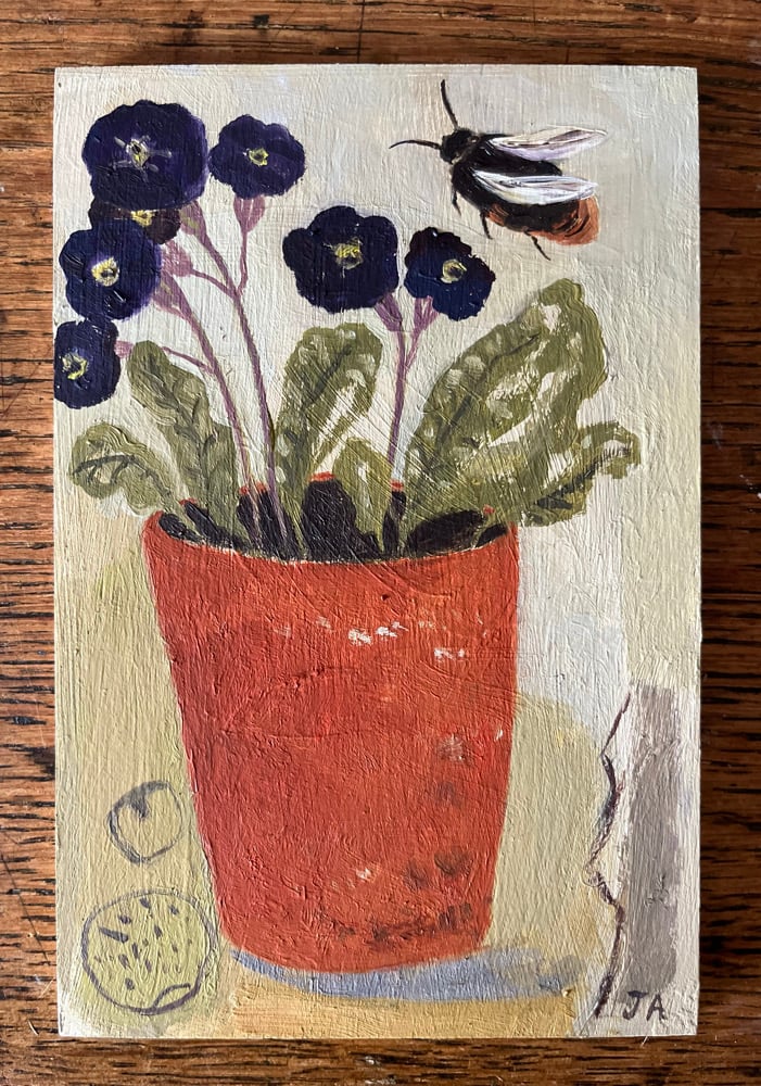 Image of Primula and red tailed bumblebee. 