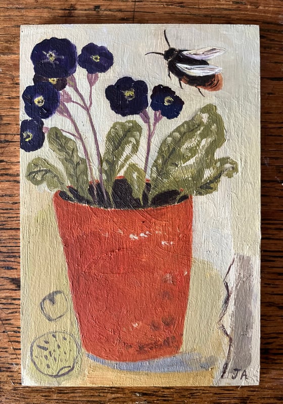 Image of Primula and red tailed bumblebee. 