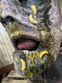 Image 3 of Swamp Rot