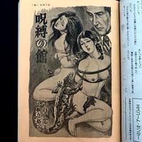 Image 19 of SM COLLECTOR 1976 #9