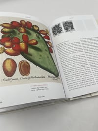 Image 5 of Basilius Besler. Florilegium. The Book of Plants