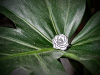 Image 2 of White & Black