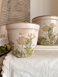 Image 2 of The Beatrice Round Pots ( 2 sizes )