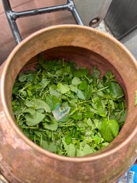 Image 4 of Lemon Balm Hydrosol