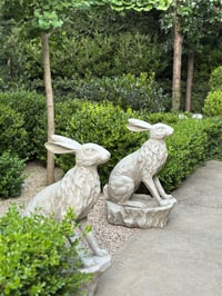 Image 2 of Entrance Hare 
