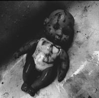Image 3 of Diary of a Necrophiliac Piggy Blu-Ray Cover A