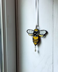 Image 3 of lil honey bee