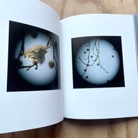 Image 5 of Carol E. Richard’s - Dreams Of Birds