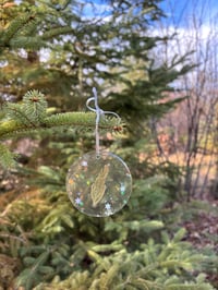 Image 2 of Pine Ornament Sets of 4