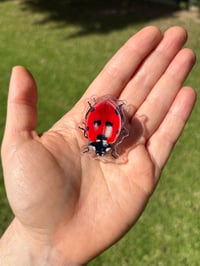 Image 3 of Lady Bug
