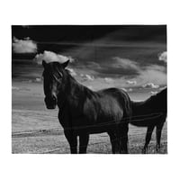 Image 3 of Soft Throw Blanket Ponies from Murdo #1