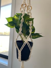 Image 2 of Macrame single plant hanger