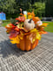 Image of Autumn Pumpkin