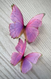 Image 3 of Berry (set of 2)