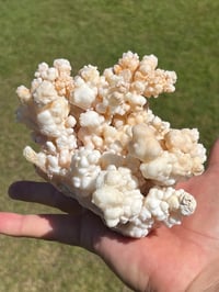 Image 4 of Calcite Crystal Cluster Reef Formation Specimen #1235