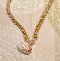 She Sells Seashells