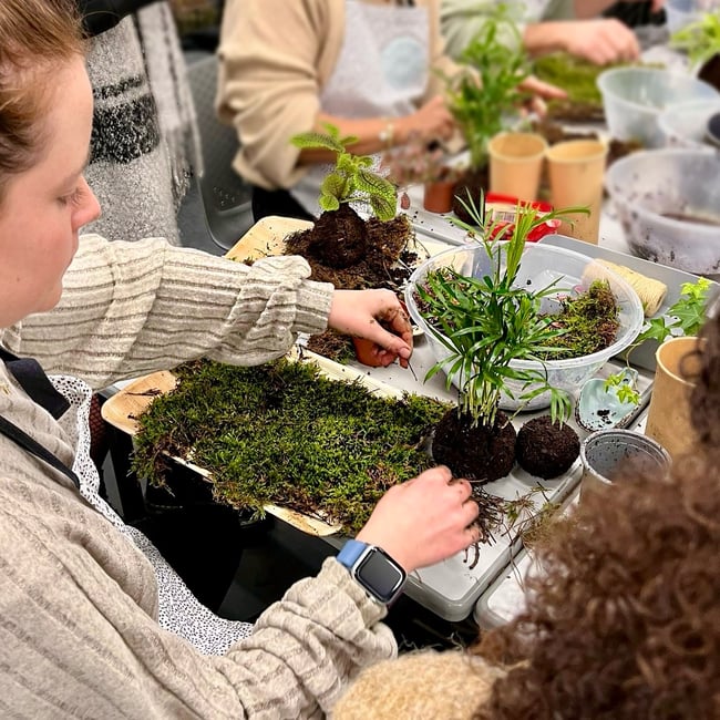 Kokedama - Crafting Living Decor