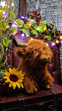 Image 1 of 👑The Armored Kingdom Baby Highland Cow Plushie