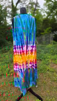 Image 6 of Birds of Paradise