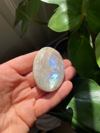 Image 1 of Moonstone Palm Crystal (11)