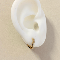 Image 1 of Stone Heart Hoops (S)