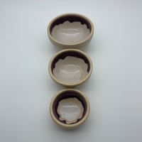 Image 3 of Little Nesters