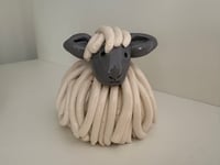 Dafad fawr / Large sheep 