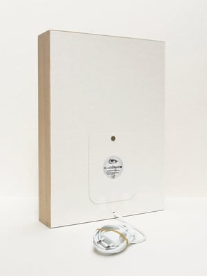 Image of Exploradora