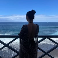 ZEBRA MESH MAXI DRESS | HMBD ZEBRA MESH MAXI DRESS | HMBD