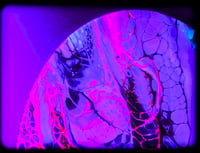 Image 7 of InTerLinked UV 8x12"