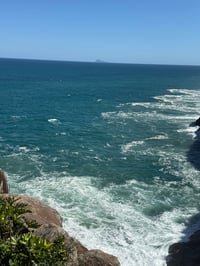 Image 8 of Paréo Baleine Céleste 