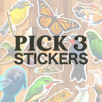 3 Vinyl Stickers - Waterproof - Dishwasher Safe