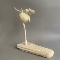 Image 2 of 40x12x35