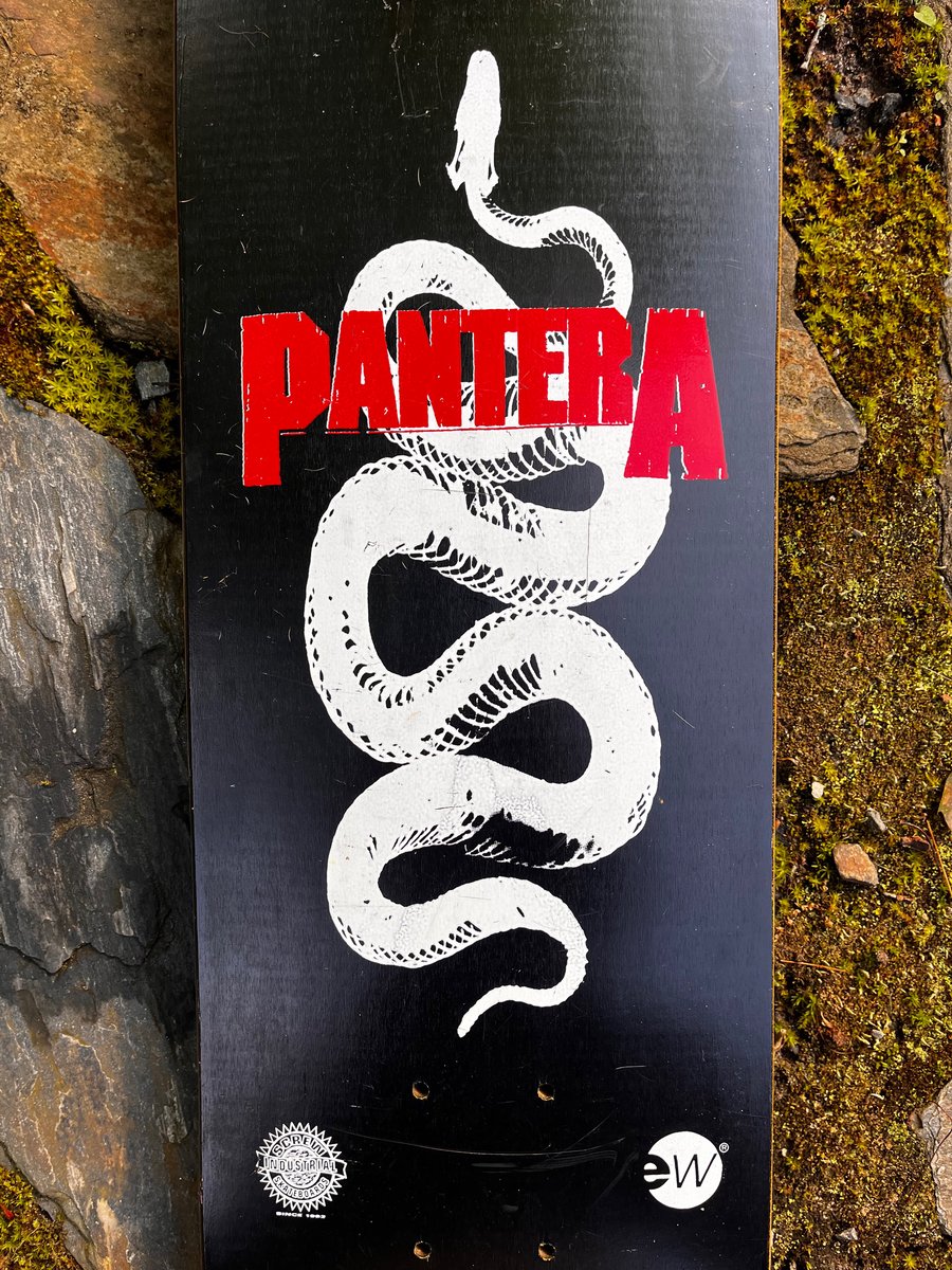 Pantera Great Southern Trendkill Promotional Skateboard 1996 |  PunkSkateboards