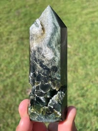 Image 23 of Ocean Jasper Tower #1791