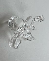 Image 4 of BUTTERFLOWER