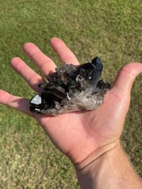 Image 9 of Smoky Quartz Crystal Points Cluster #2002