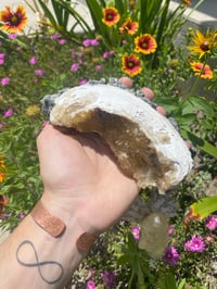 Image 2 of Honey Calcite Clam