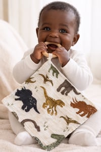 Image 2 of Dinosaur Lovey Teether