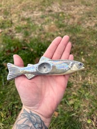 Image 1 of Atlantic Salmon 