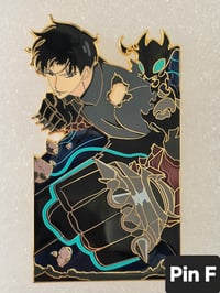 Image 1 of SL Pin(s)