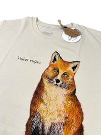 Image 2 of T-shirt VOLPE