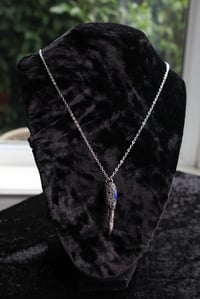 Image 13 of Dead Good Pheasant toe necklace with lapis lazuli stone