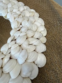 Image 4 of Seashell Mirror Shite 24”